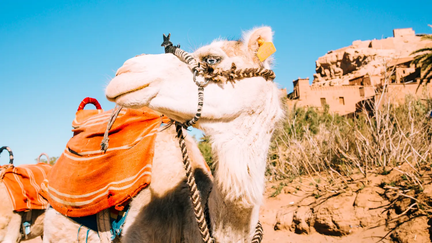 Adventure & Activities Img